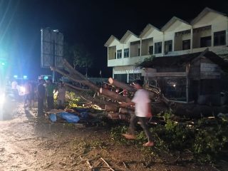 Pohon Tumbang Timpa Suzuki Carry di Pidie, Tujuh Orang Meninggal Dunia